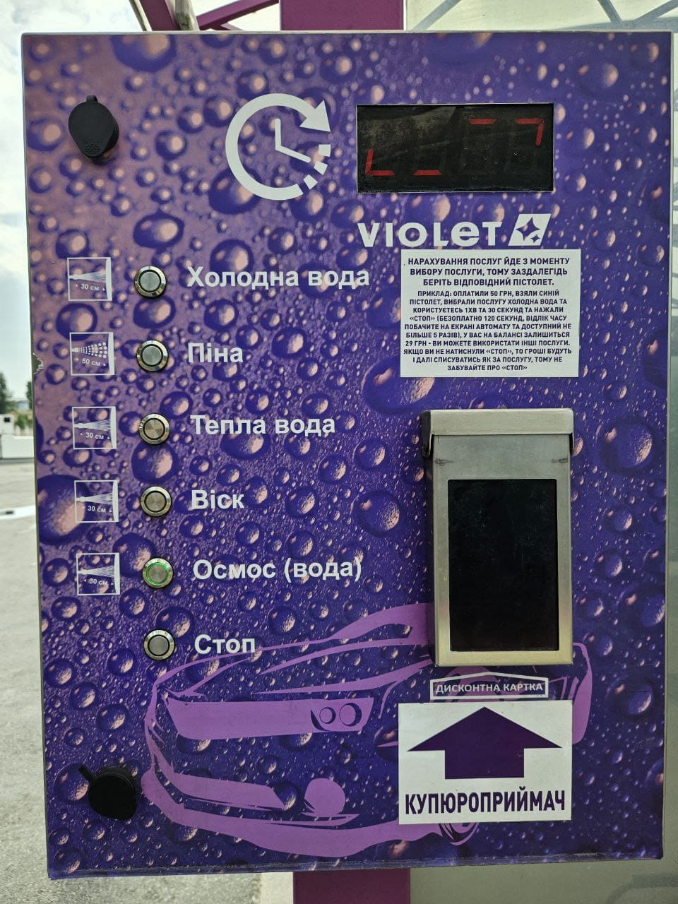 Violet, фото 3